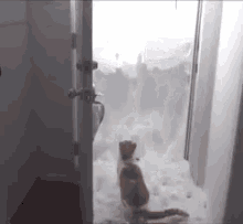 Snowed In GIF - Cat Escape Snow GIFs