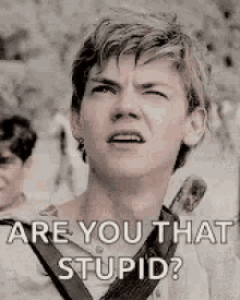 Newt Thomas Brodie Sangster GIF - Newt Thomas Brodie Sangster Are You That Stupid GIFs