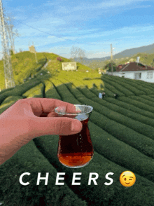 Cheers çay GIF - Cheers çay GIFs