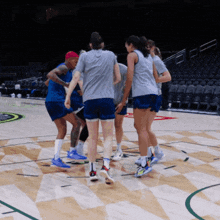 a group of female basketball players huddle on the court