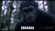 Planet Of The Apes Graaaaa GIF - Planet Of The Apes Graaaaa Go GIFs