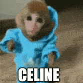a monkey is wearing a blue hoodie and the word celine is above it