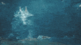 a group of people are swimming in the water
