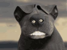 This is Morpheus - funny dog. GIF — Steemit