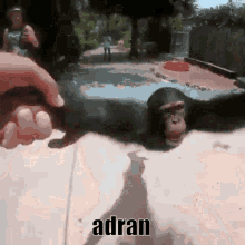 Adran Adrian GIF