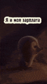 a picture of a penguin with the words " я и моя зарплата "