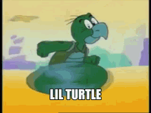 Lil Turtle Turtle GIF - Lil Turtle Turtle Bcug GIFs