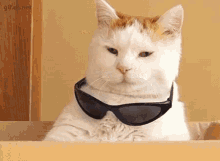 GIF