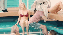 Pool Party GIF - Pool Party Happy GIFs