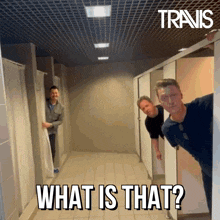 Travis Fran Healy GIF - Travis Fran Healy What Is That GIFs