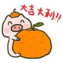 wechat pig orange happy orange cap