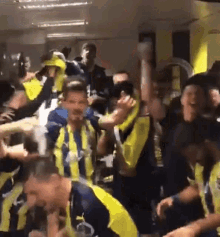 Galibiyet Coşkusu Fenerbahçe GIF