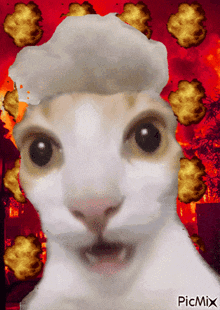 Cat Silly GIF - Cat Silly Boom GIFs