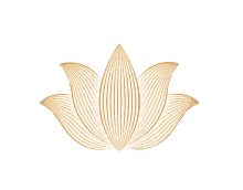 lotus flowers flower