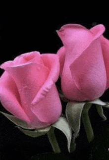 Happy Mothers Day Blessings GIF - Happy Mothers Day Blessings GIFs