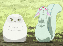 an owl and a squirrel standing next to each other