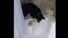 Cat Falls Into The Tub GIF - Cat Fall Tub GIFs