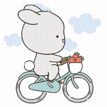 bikes cycle