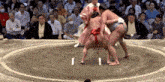Sumo Wrestler Midorifuji GIF - Sumo Wrestler Sumo Midorifuji GIFs