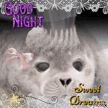 a picture of a cat with the words good night sweet dreams on it