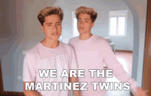 We Are The Martinez Twins Youtubers GIF - We Are The Martinez Twins Youtubers Twins GIFs