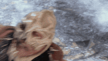 a blurry picture of a person holding a skull with sharp teeth