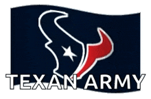 Houston Texans GIF - Houston Texans Football GIFs