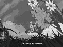 In A World Of My Own GIF - Peace Alice In Wonderland World Of My Own GIFs