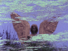 a painting of a person with wings floating in a body of water