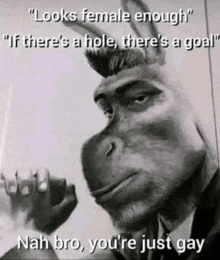 a black and white photo of a monkey with a caption that says `` looks female enough ''