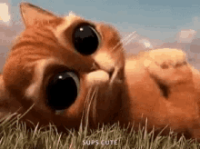 Pussin Boots Cute GIF - Pussin Boots Cute Cat GIFs
