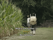 Whats Rule Number One Party GIF - Whats Rule Number One Party No Not Party GIFs