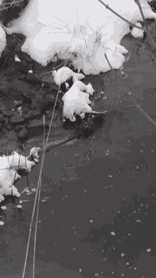 a pile of snow on the ground next to a body of water .