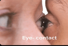 Eye Contact Meme GIF - Eye Contact Meme GIFs