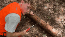 Sawing A Log Ryan Trahan GIF - Sawing A Log Ryan Trahan Field Work GIFs