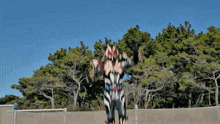a person in a zebra costume is standing in front of a forest