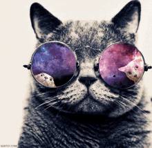 Galaxy Kitty GIF - Galaxy Kitty Love GIFs