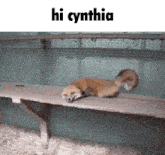 Cynthia Greetings GIF - Cynthia Greetings Hi GIFs