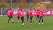 a group of soccer players are standing on a field in front of a banner that says audi .