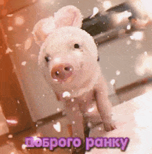 a picture of a pig with the words " доброго ранку " written below it