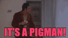 Seinfeld Pigman GIF - Seinfeld Pigman Kramer GIFs