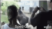Null Gang Null GIF - Null Gang Null GIFs