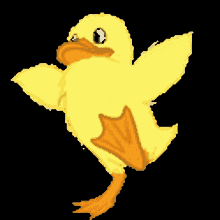 Duck Waddle GIF - Duck Waddle GIFs