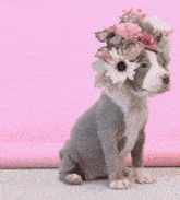 Puppy Cute GIF - Puppy Cute Adorable GIFs