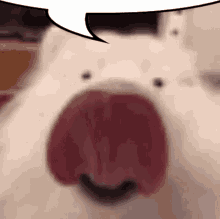Dog Lick GIF - Dog Lick Speech Bubble GIFs