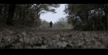 a woman is walking down a path covered in leaves .