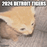 Detroit Tigers 2024 GIF - Detroit Tigers 2024 GIFs