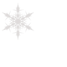 white snowflake