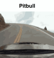 Pitbull Pitbull Car Crash GIF - Pitbull Pitbull Car Crash Bag Fumbler Inc GIFs