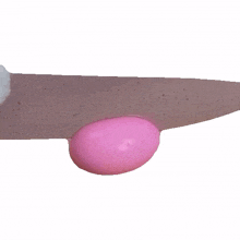 slicing an egg that little puff halving an egg chopping an egg cutting it in half